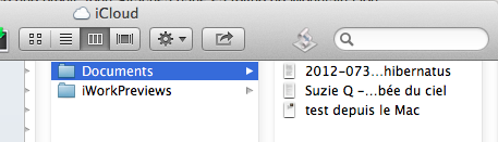 Icloudfinder