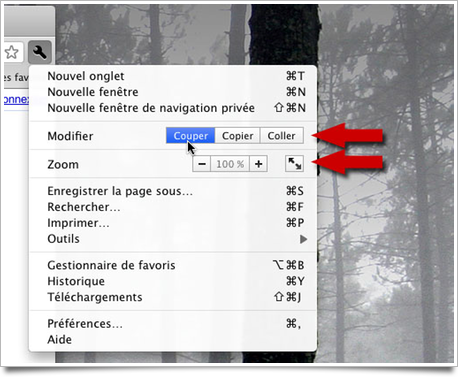 Google Chrome