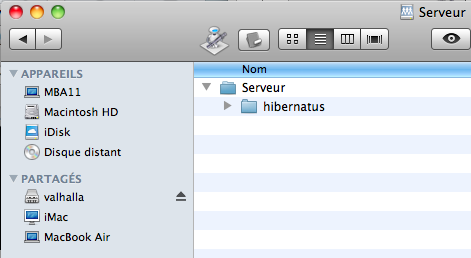 Quasi Xserve