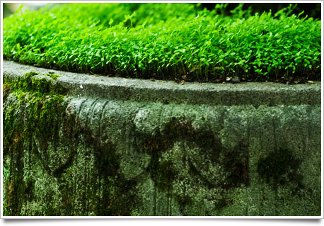 2007 0309 w 20060822 D200 55mm 120842.jpg