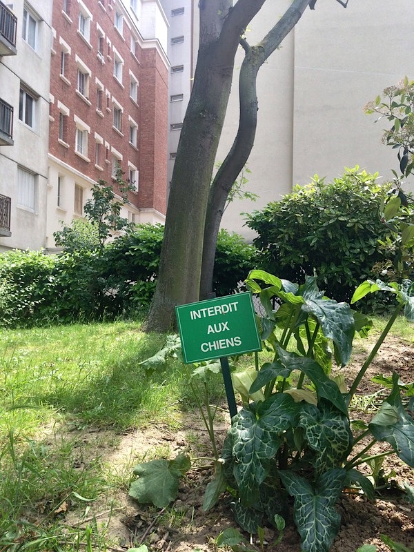 2013 06 08 14.02.12.jpg